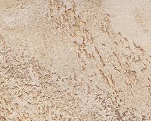 Premium interior finish